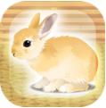 治愈兔兔养成  v2.2中文版